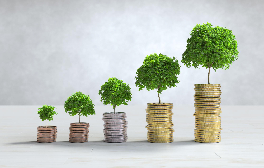 Clinic Investments