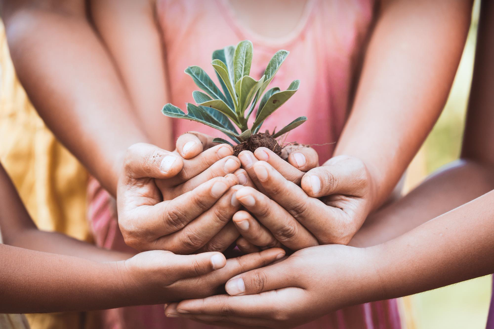 NGO and social impact career opportunities for doctors
