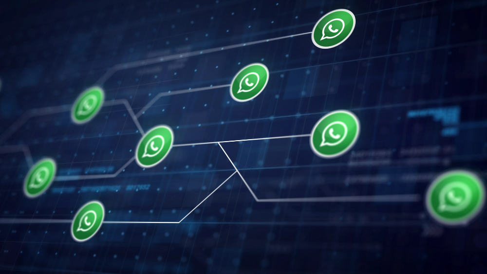 WhatsApp marketing guide
